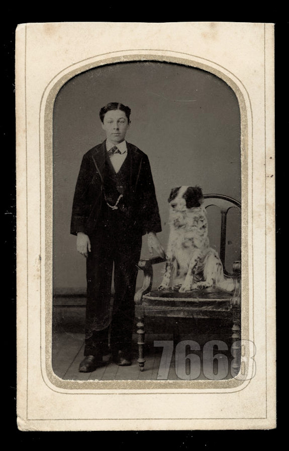 Great Antique 1870s Tintype Photo Boy & Obedient Dog