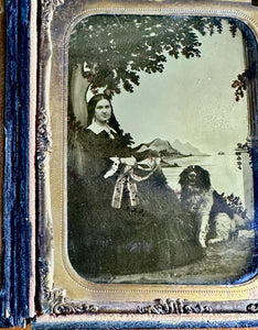 1/4 Ambrotype Photo Pretty Woman And Her Dog 1850s