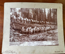 Load image into Gallery viewer, Lot of 5 Rare Antique Logging Photos Sequoia National Forest 1890s
