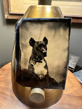 Load image into Gallery viewer, FANTASTIC ORIGINAL 1800S TINTYPE PHOTO OF A PIT BULL / PITBULL DOG 1870s
