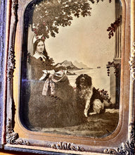 Load image into Gallery viewer, 1/4 Ambrotype Photo Pretty Woman And Her Dog 1850s
