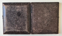Load image into Gallery viewer, Little Girl Holding a Bird - Pigeon or Dove 1/6 Daguerreotype
