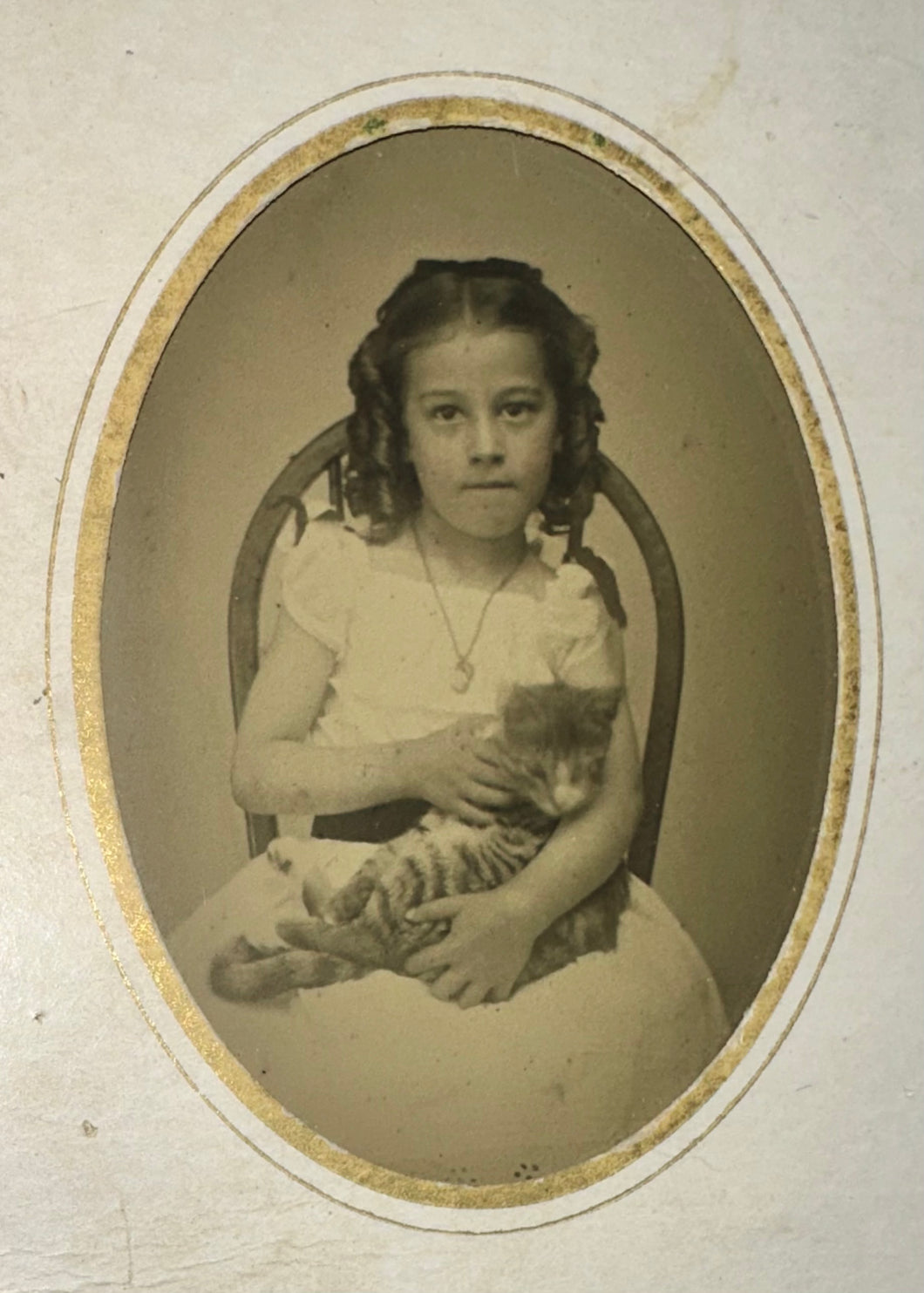 Little Girl Holding Striped Kitten / Cat Great 1870s Tintype Photo