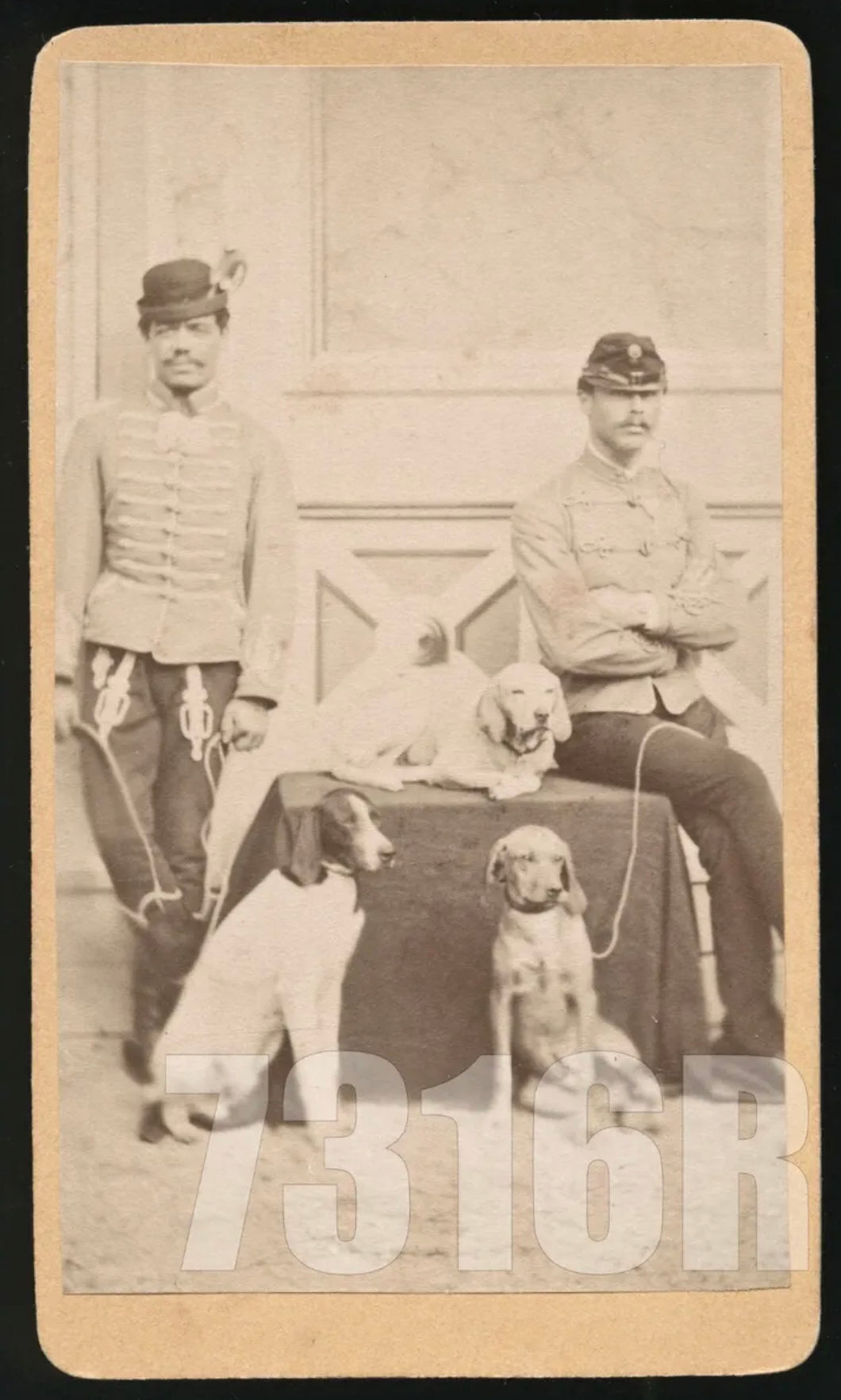 Great CDV, Soldiers & 3 Hunting or Military Guard Dogs 1800s Photo