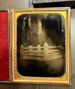 Rare Large 1850s Ambrotype of a Wooded Cemetery / Graveyard