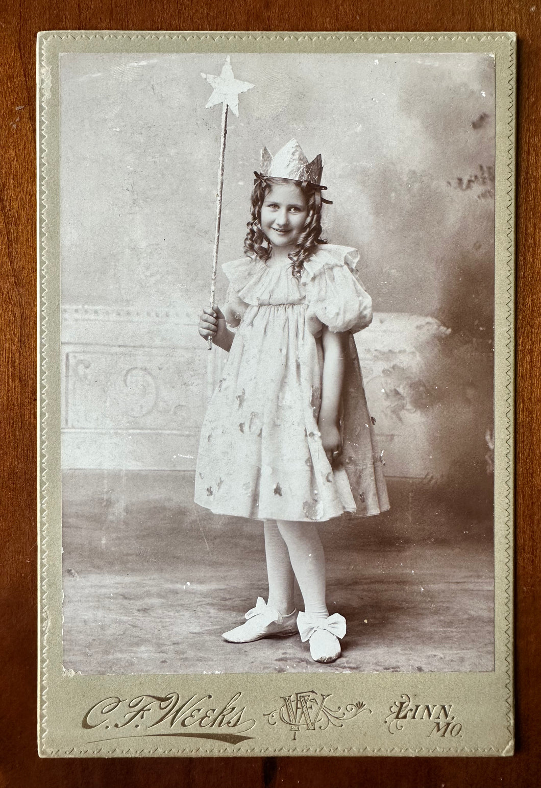 Little Girl Dressed as Fairy Princess Linn Missouri 1890s Photo