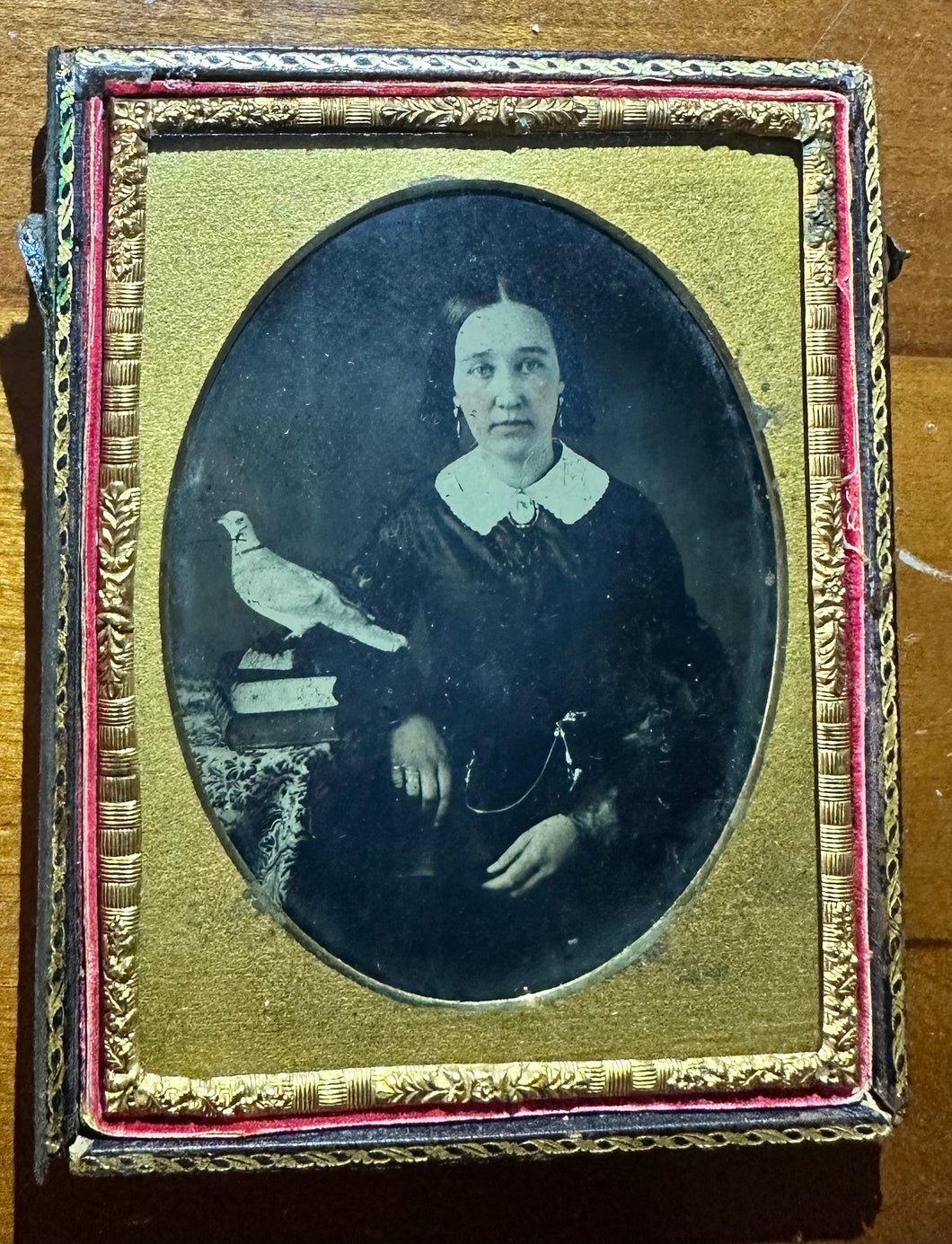 Mourning Symbol? 1/4 Plate Ruby Ambrotype Woman With Dove Bird 1850s Photo