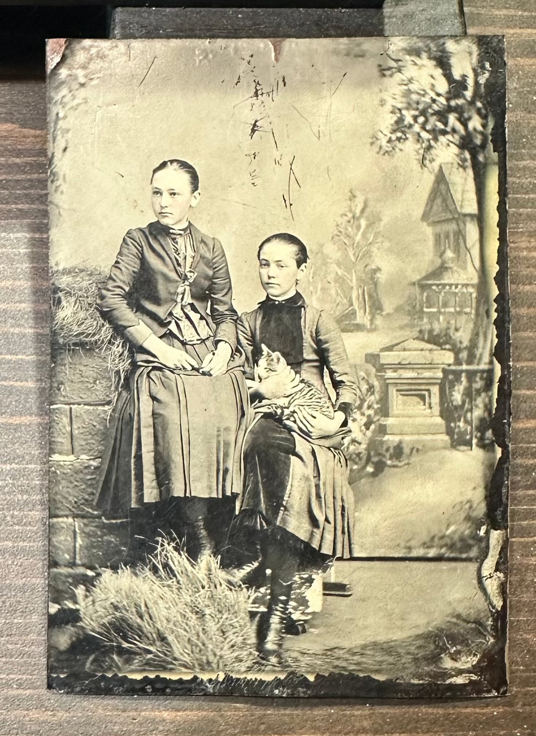 Two Little Girls, One Holding Tabby Cat - Antique Tintype Photo