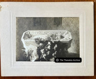 Large Format Post Mortem Child in Casket 1900s #1