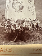 Load image into Gallery viewer, Poultry Advertising Girl Hamilton Missouri 1890s
