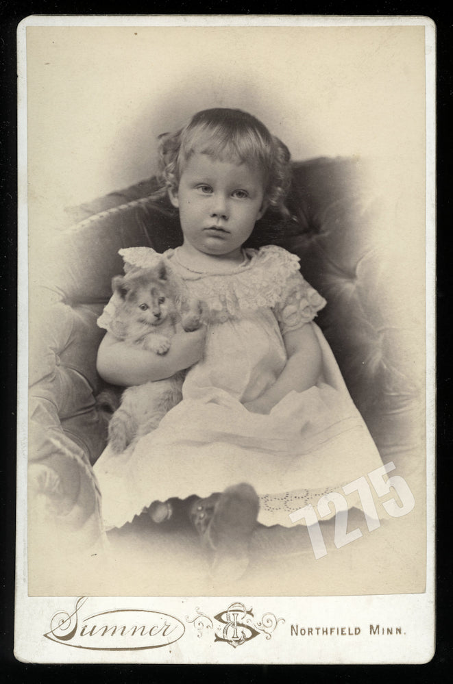 Cabinet Photo, Little Girl Holding Cat or Kitten Northfield Minnesota