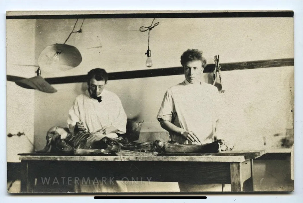 1900s RPPC Postcard Photo Macabre Medical School Dissection of Cadaver Autopsy