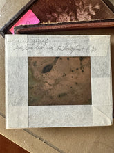 Load image into Gallery viewer, Four Sisters with Baskets &amp; Flowers Daguerreotype
