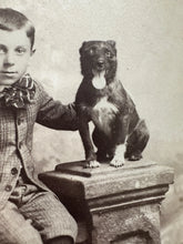 Load image into Gallery viewer, Boy &amp; Little Dog Staffordshire Terrier? Antique Cabinet Card Photo Pennsylvania
