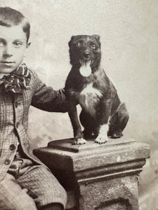Boy & Little Dog Staffordshire Terrier? Antique Cabinet Card Photo Pennsylvania