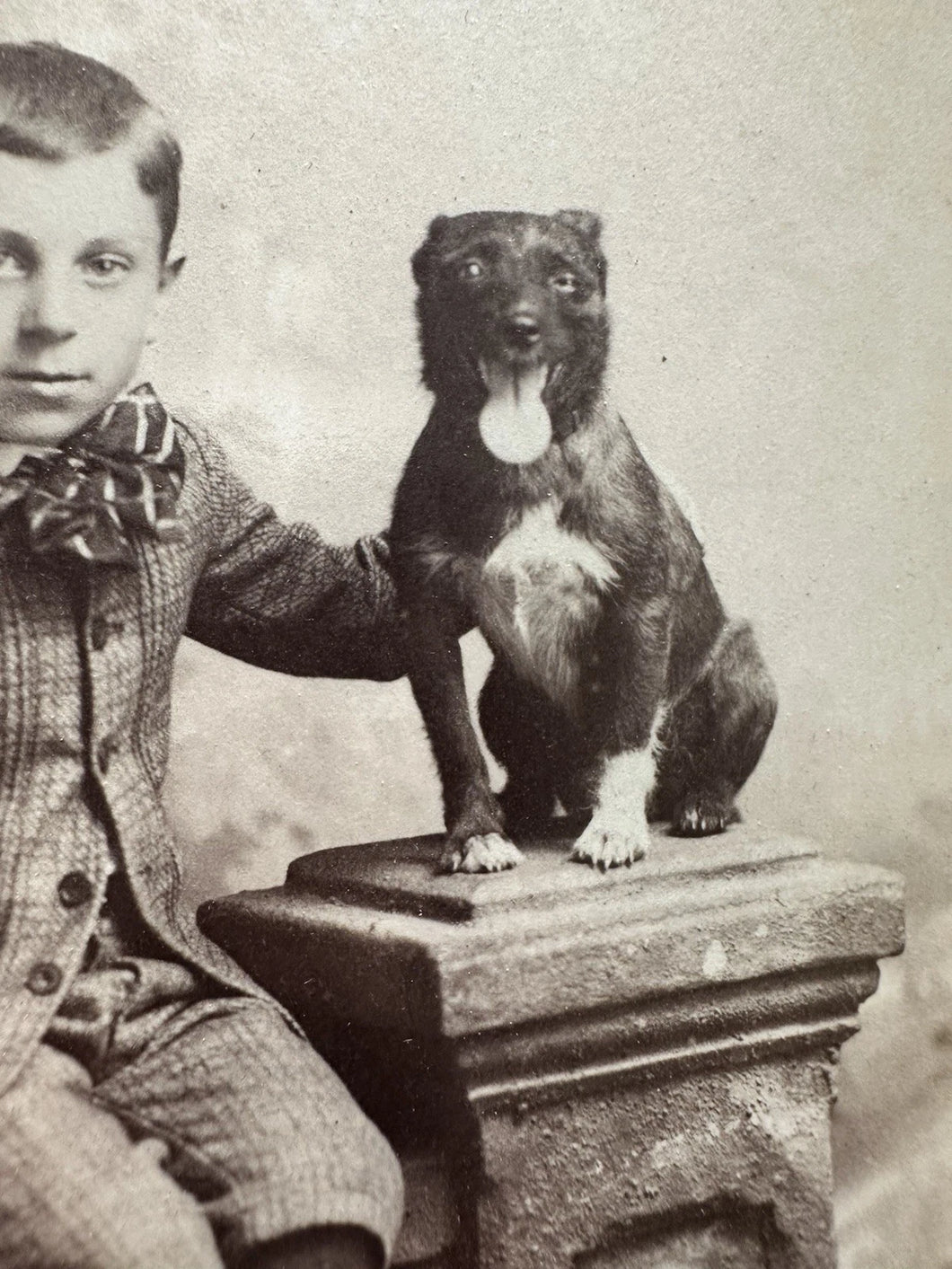 Boy & Little Dog Staffordshire Terrier? Antique Cabinet Card Photo Pennsylvania