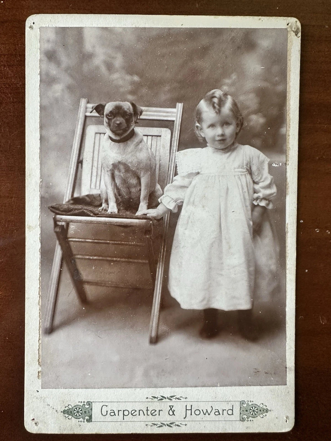 Antique Cabinet Card - ID'd Boy Harry Morey & His Cute Pug Dog Antique Photo