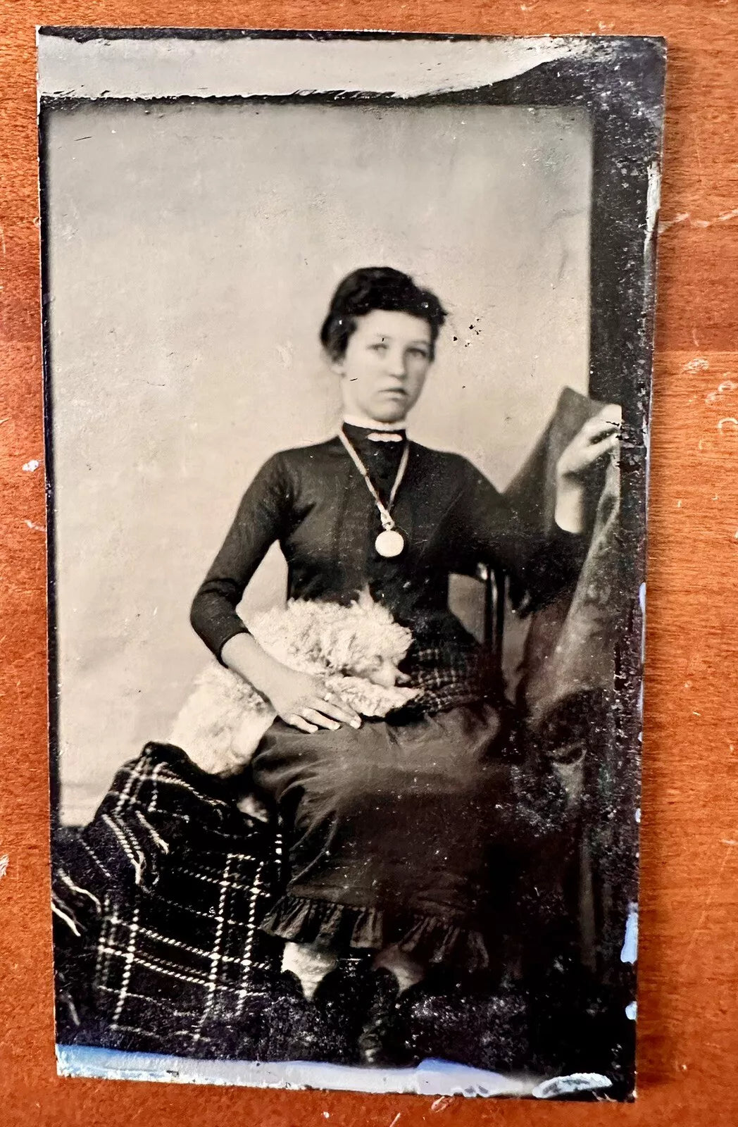 Cute Girl and Sleeping Little Poodle Dog - Antique Tintype Photo Unusual