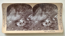 Load image into Gallery viewer, THE DEAD SOLDIER / ANTIQUE STEREOVIEW 1900s GHOST SPIRIT ANGEL HAUNTED PHOTO 3D
