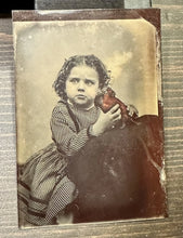 Load image into Gallery viewer, 1800s Tintype Photo Little Girl Holding Tinted Red Bird Maybe a Parrot Rare
