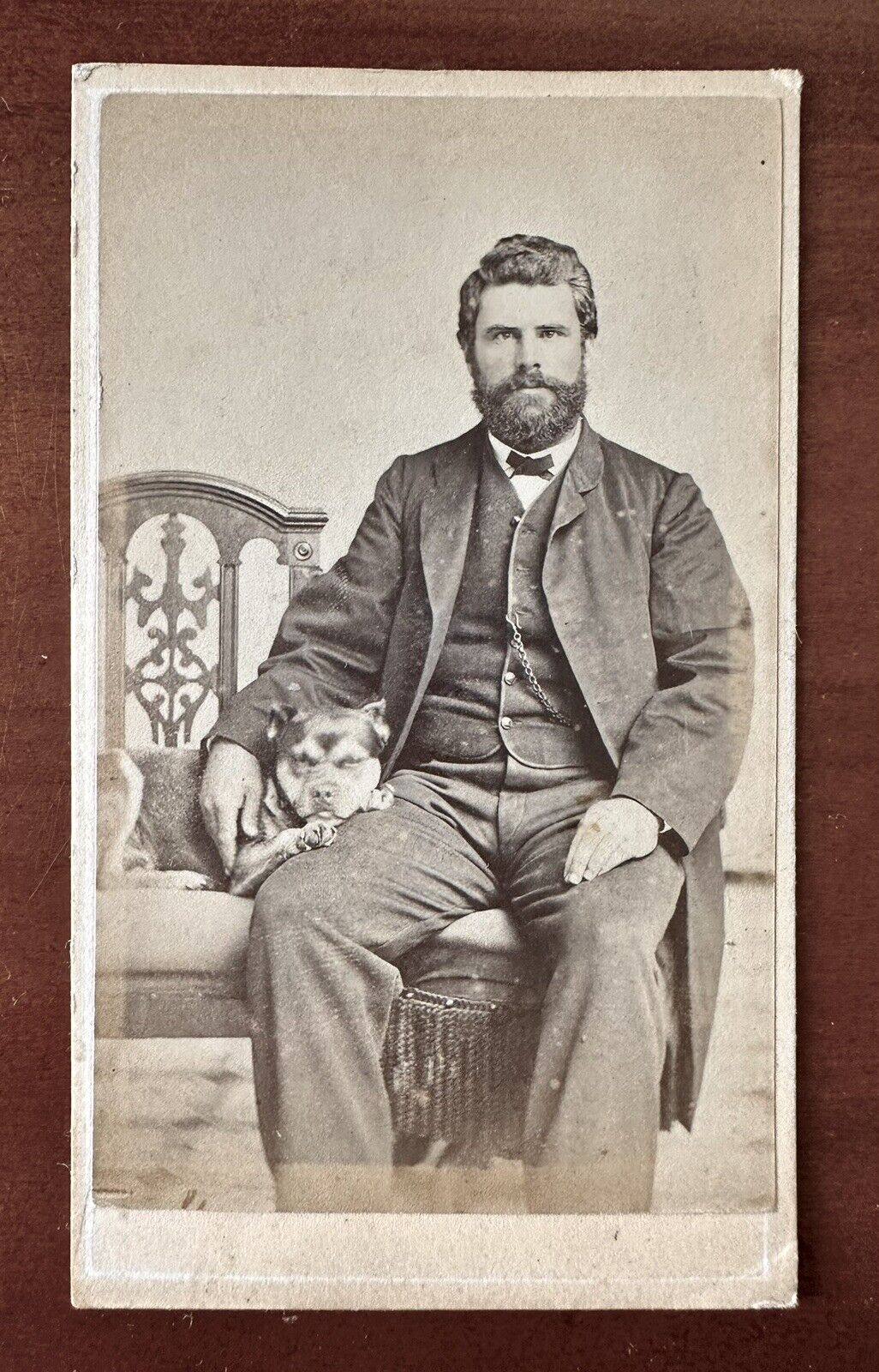Handsome Bearded Man Dog In Lap New Orleans Photographer 1860s CDV Photo