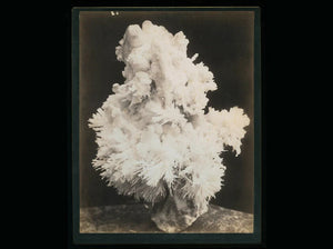 Rare Imperial Photo of Mineral Formation Tombstone Arizona Photographer CS FLY