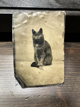 Load image into Gallery viewer, WONDERFUL ANTIQUE CAT TINTYPE! 1870s ORIGINAL PHOTO RARE PET PORTRAIT
