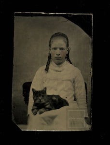 Antique 1870s Tintype Photo Little Girl Holding Cat