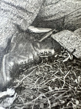 Load image into Gallery viewer, Intriguing Photo DEAD MAN In Park Murder Victim? Crime Scene Post Mortem Int
