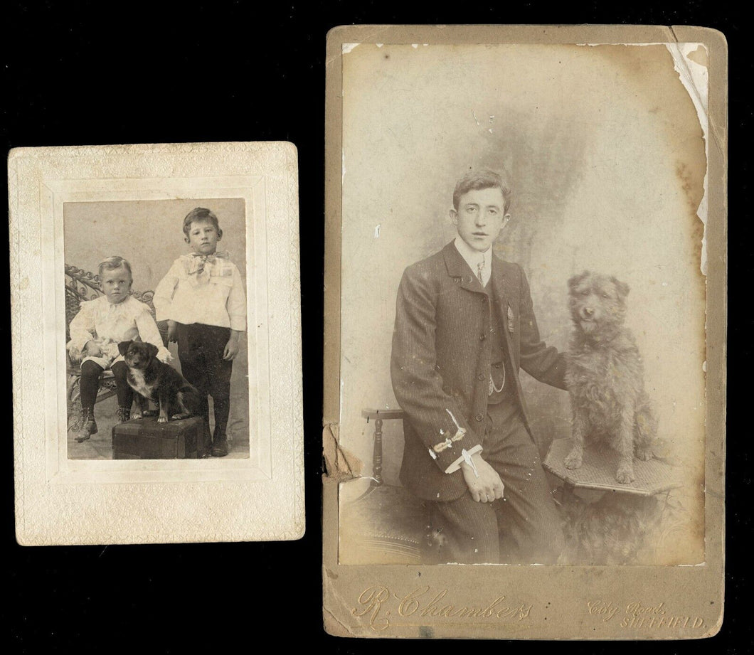 lot of 2 antique photos kids with dogs 1800s cabinet card vtg