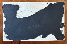 Load image into Gallery viewer, DOCTORS MEDICAL STUDENTS DISSECTION ON AFRICAN AMERICAN MAN POST MORTEM CREEPY 2
