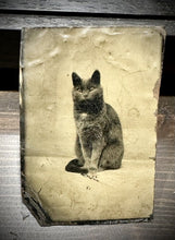 Load image into Gallery viewer, WONDERFUL ANTIQUE CAT TINTYPE! 1870s ORIGINAL PHOTO RARE PET PORTRAIT

