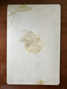 CABINET CARD PHOTO PRETTY AFRICAN AMERICAN WOMAN PHILADELPHIA, PA