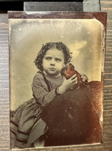 Load image into Gallery viewer, 1800s Tintype Photo Little Girl Holding Tinted Red Bird Maybe a Parrot Rare
