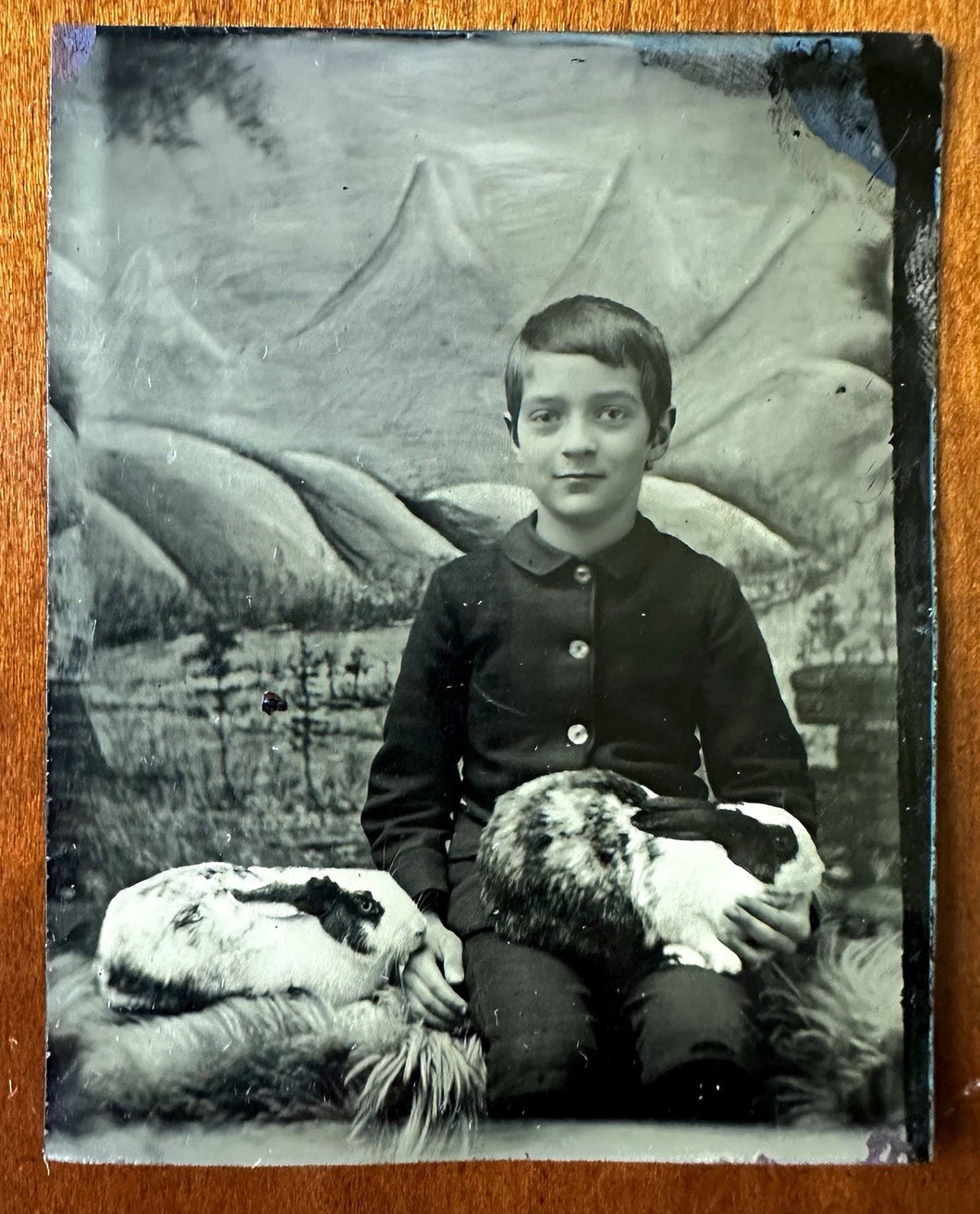 great antique tintype little boy holding two BIG RABBITS 19th Century Rare