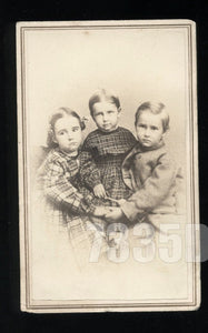 ID'd Schermerhorn Children 1860s Photo Civil War Tax Stamp Female Photographer