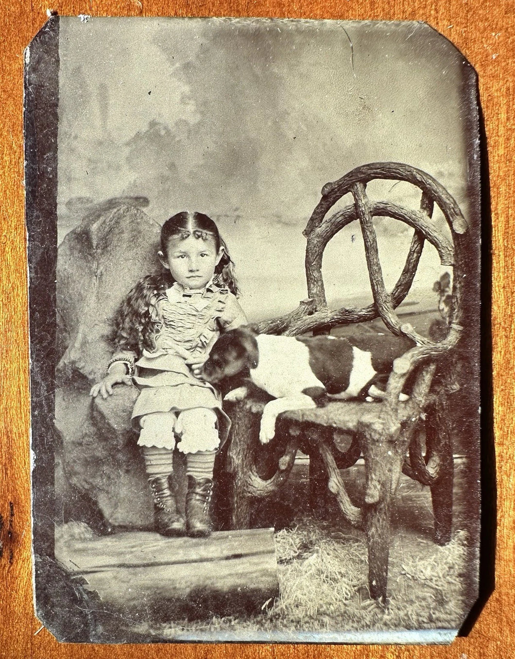 Excellent Tintype Photo Little Girl With Sleeping Dog Antique 1880s