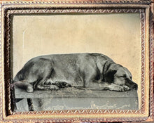 Load image into Gallery viewer, 1/4 Plate Ambrotype Photo of a Sleeping Dog ID&#39;d as Pat - 1850s
