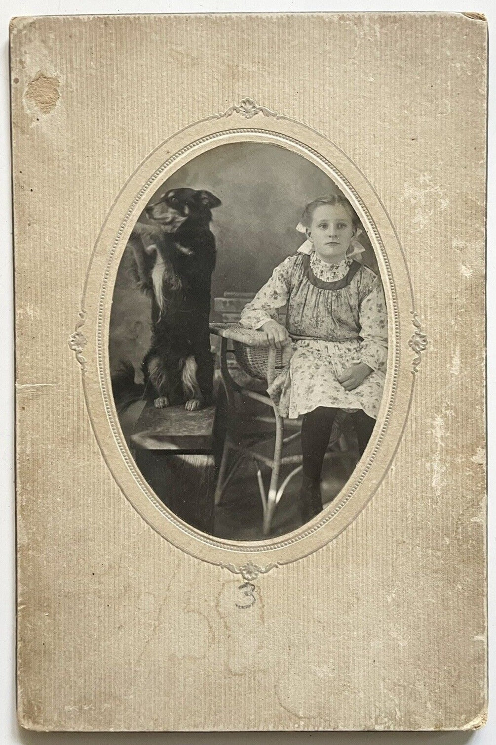 Big Cabinet Photo Little Girl with Her Trick Dog 1900s