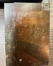 Load image into Gallery viewer, 1800s Tintype Photo Little Girl Holding Tinted Red Bird Maybe a Parrot Rare
