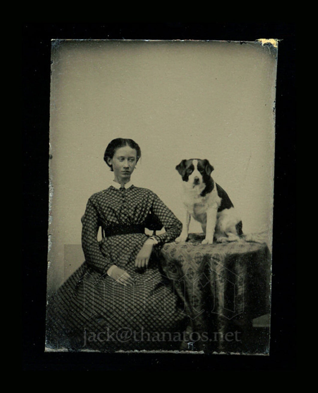 1860s Miniature Gem Tintype Photo ~ Girl Gives Puppy Dog a Look ~ Very Cute