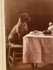 Wonderful Antique Cabinet Photo Little Girls & Dog Have Tea Party