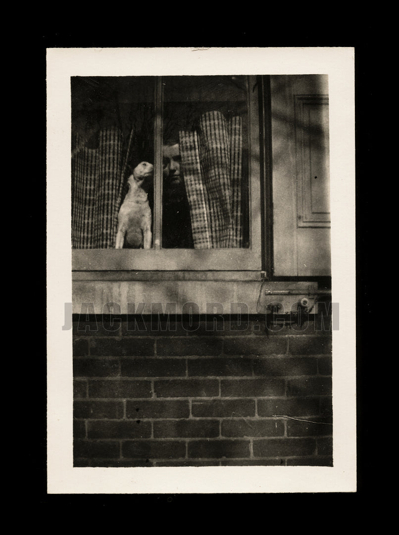 Unusual & Mysterious Vintage Snapshot Photo - Face in the Window (with Dog)