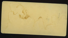 Load image into Gallery viewer, Antique 1870s Stereoview Photo // Dog Doing a Trick
