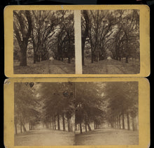 Load image into Gallery viewer, Two Southern / Savannah Georgia - 1860s Stereoview Photos
