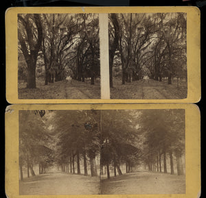 Two Southern / Savannah Georgia - 1860s Stereoview Photos