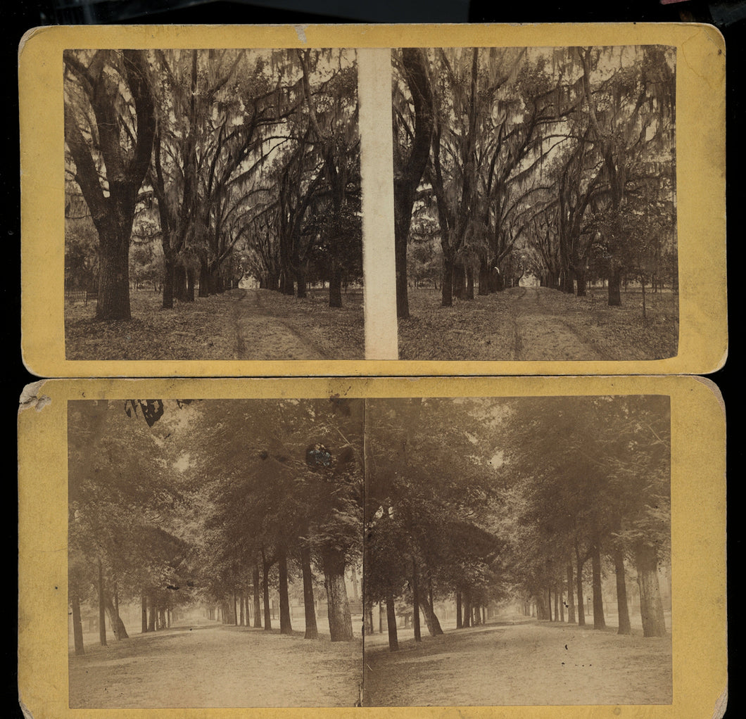 Two Southern / Savannah Georgia - 1860s Stereoview Photos