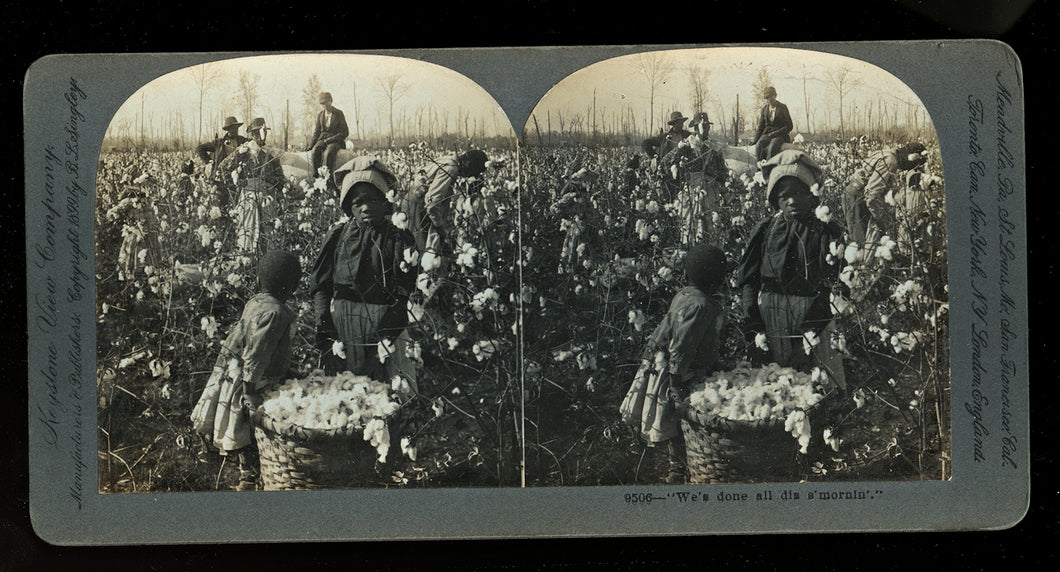 African American Field Workers Picking Cotton Mississippi 1899 - Black Americana Photo