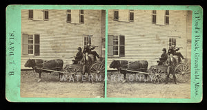 Unusual Rare Stereoview Photo Men on Bull Wagon Playing Violin - HJ Davis Mass