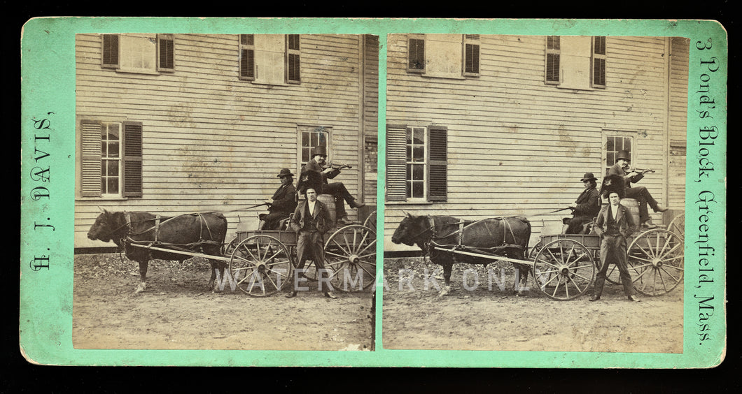 Unusual Rare Stereoview Photo Men on Bull Wagon Playing Violin - HJ Davis Mass